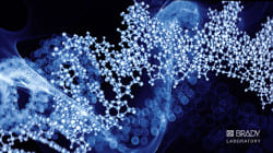 Brady Laboratory Identification